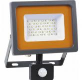  - Прожектор светодиодный PFL-SC SMD sensor 30Вт 6500К IP54 матов. стекло JazzWay 5001411