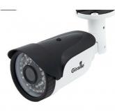  - Giraffe GF-IPIR4352MP2.0(2.8) c сервисом IPEYE